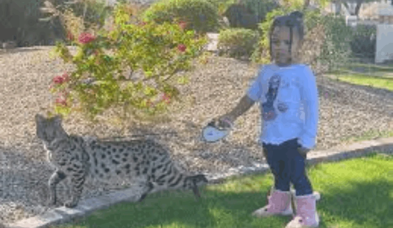 Summer Odalis Beckham